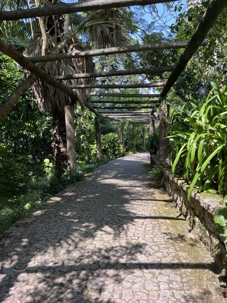 Sentier ombragé sous une pergola dans le Parque das Merendas, descente à pied depuis le Palácio da Pena vers Sintra