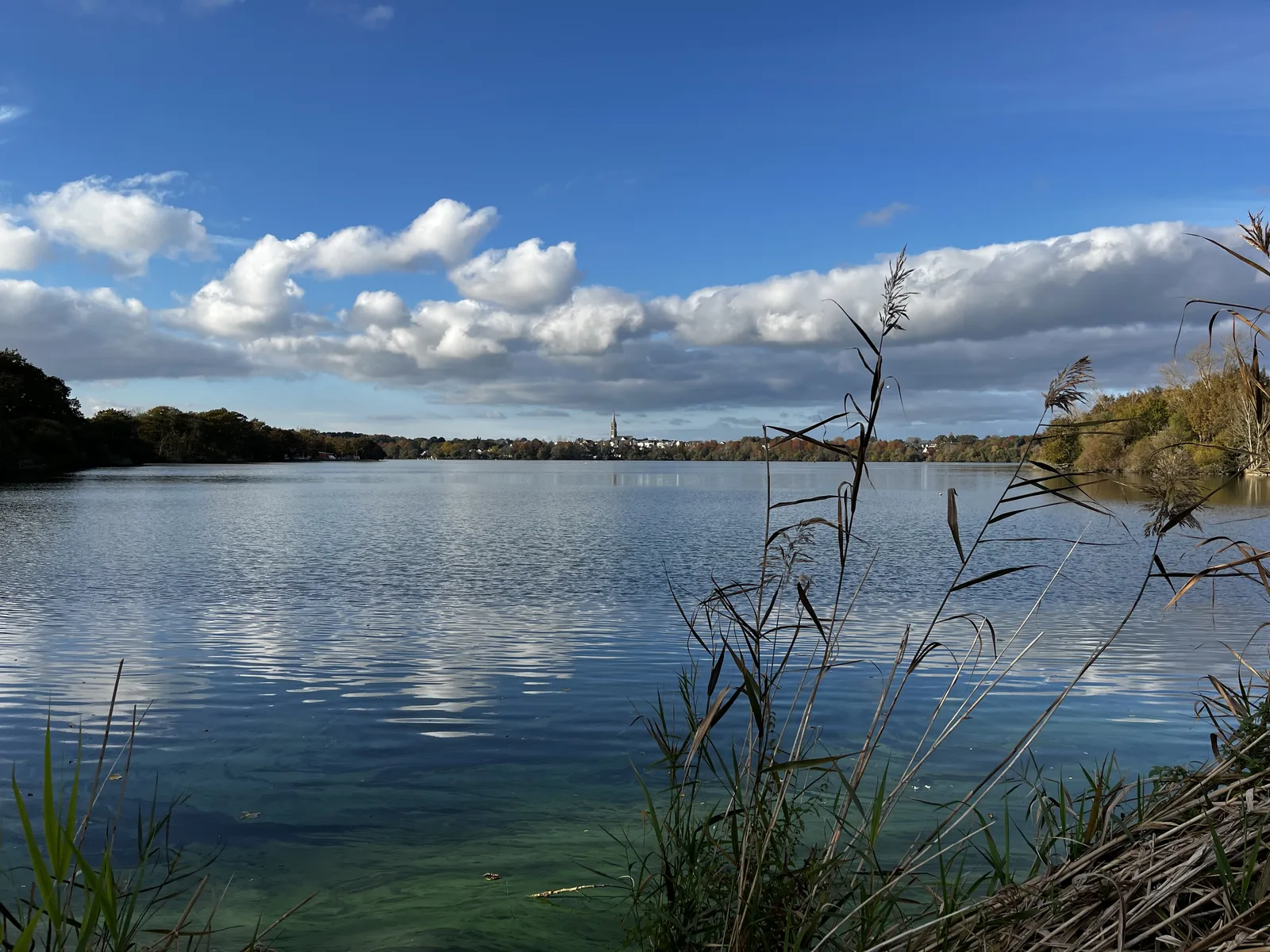 Le lac du Bois-Joalland à Saint-Nazaire, vue sur l'eau avec roseaux au premier plan