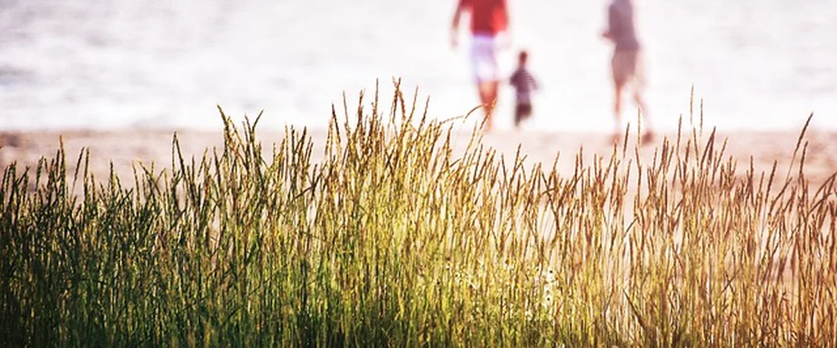Famille en sortie nature au bord de l'eau, entre roseaux et dunes en Loire-Atlantique