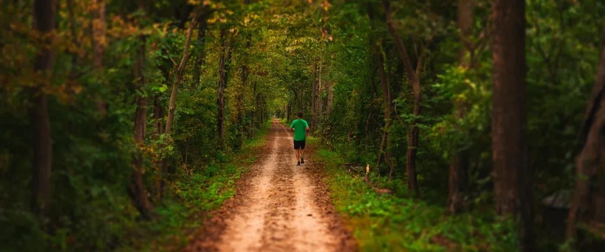 Un homme court de dos sur un chemin forestier aux premières couleurs d'automne