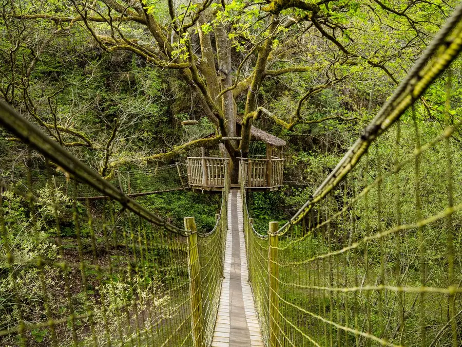 Le pont de singe menant à la cabane perchée le Foleux, au Pertuis du Rofo