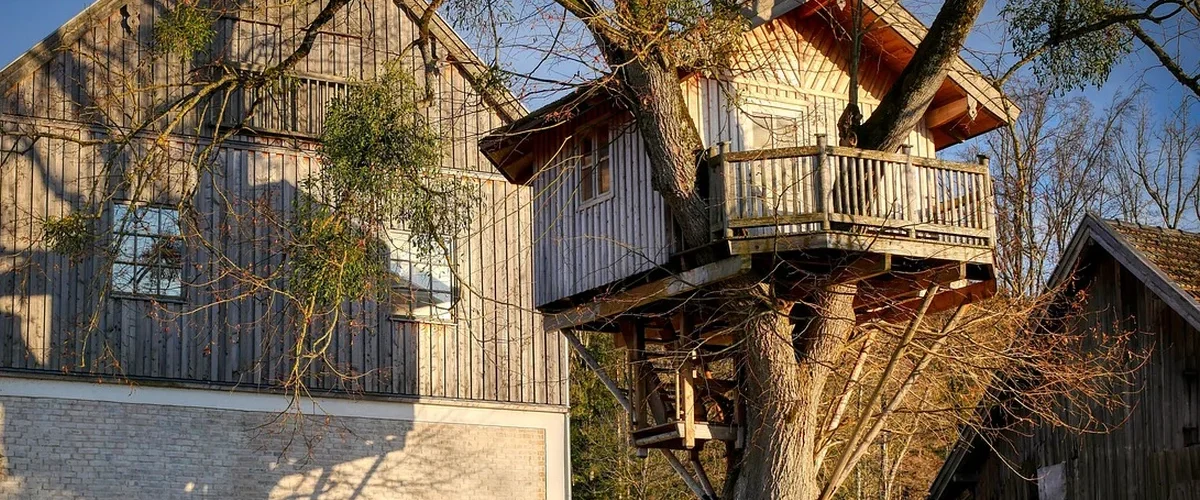 Nuit insolite en famille : cabane perchée dans un arbre au soleil couchant